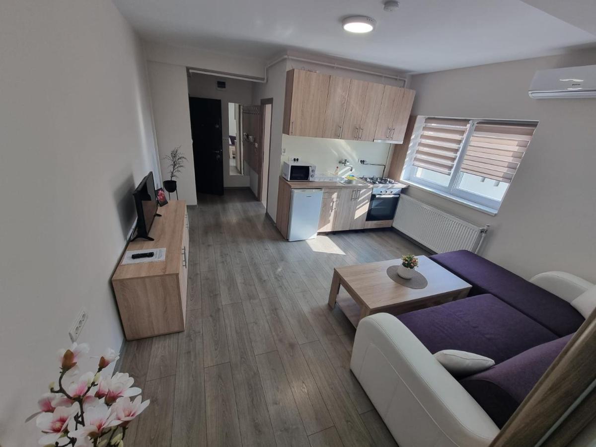 City Premium Apartments Timişoara Exteriör bild