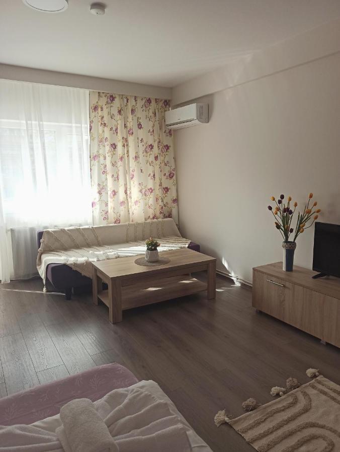 City Premium Apartments Timişoara Exteriör bild